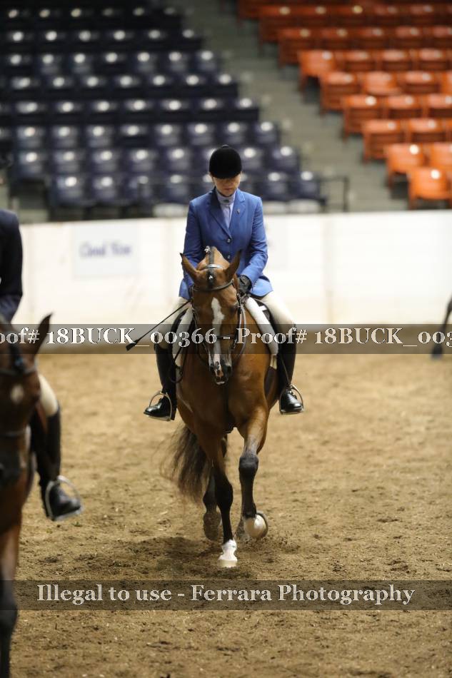 Proof 18BUCK_00366