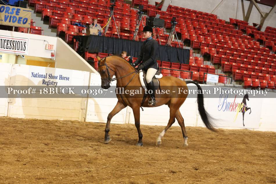 Proof 18BUCK_00367