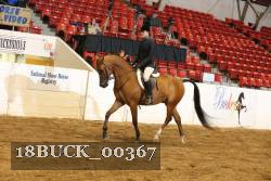 18BUCK_00367 proof