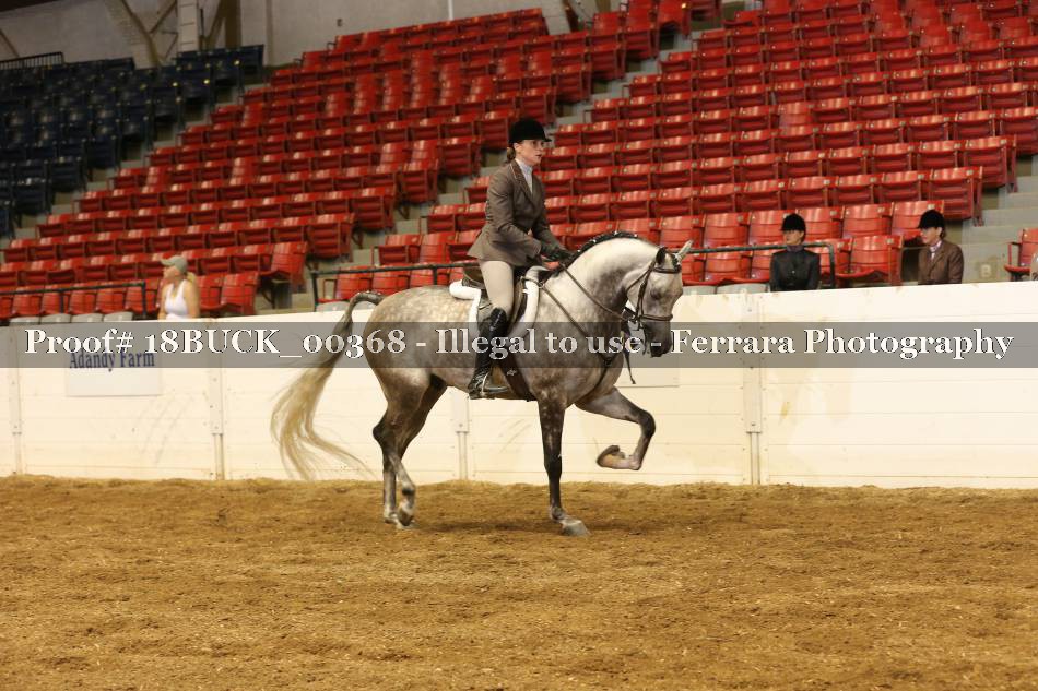 Proof 18BUCK_00368