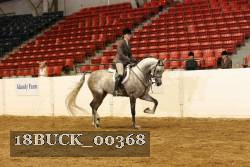 18BUCK_00368 proof