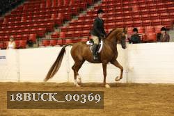 18BUCK_00369 proof