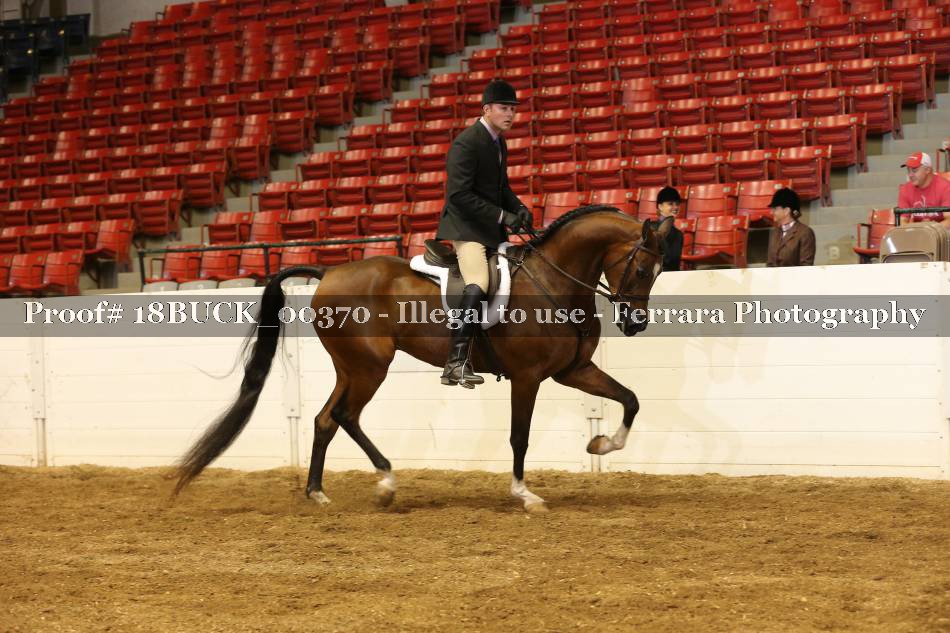 Proof 18BUCK_00370