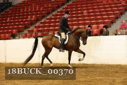 18BUCK_00370 proof