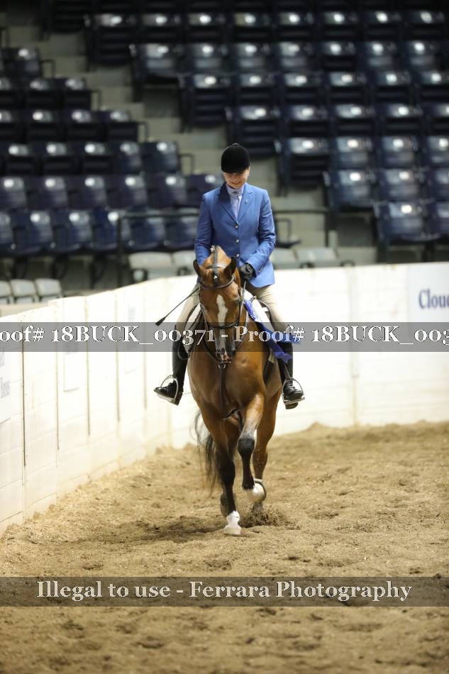 Proof 18BUCK_00371