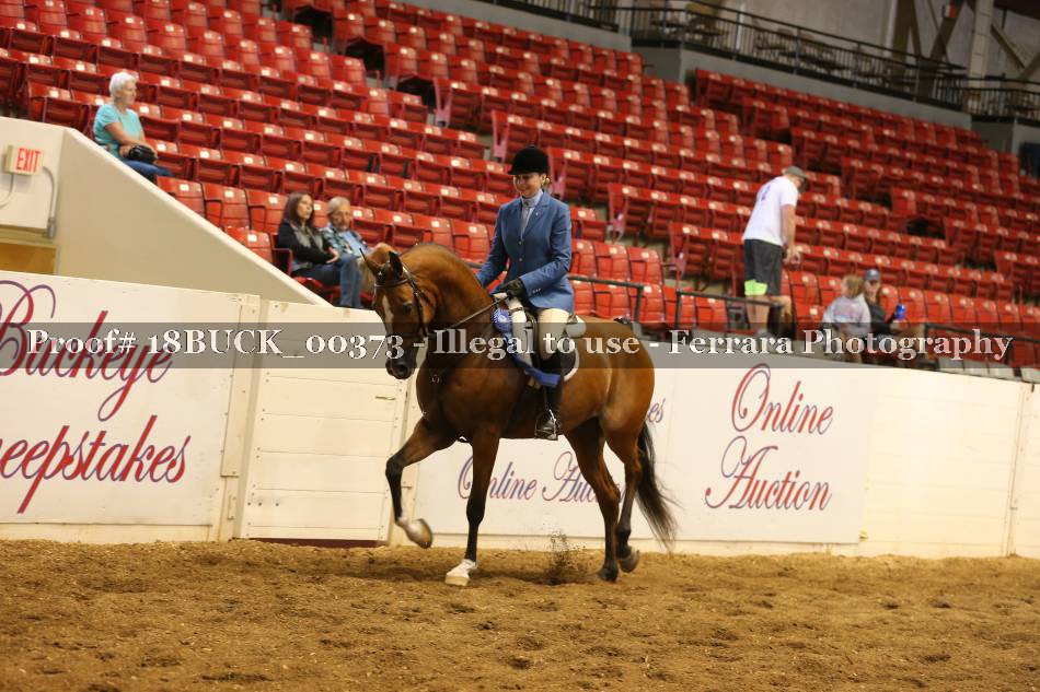 Proof 18BUCK_00373