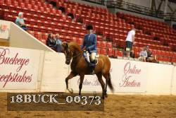 18BUCK_00373 proof