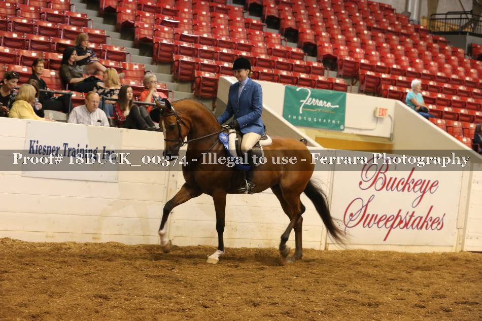 Proof 18BUCK_00374