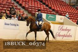18BUCK_00374 proof