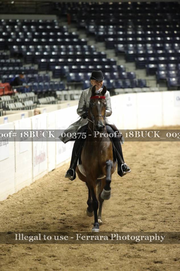 Proof 18BUCK_00375