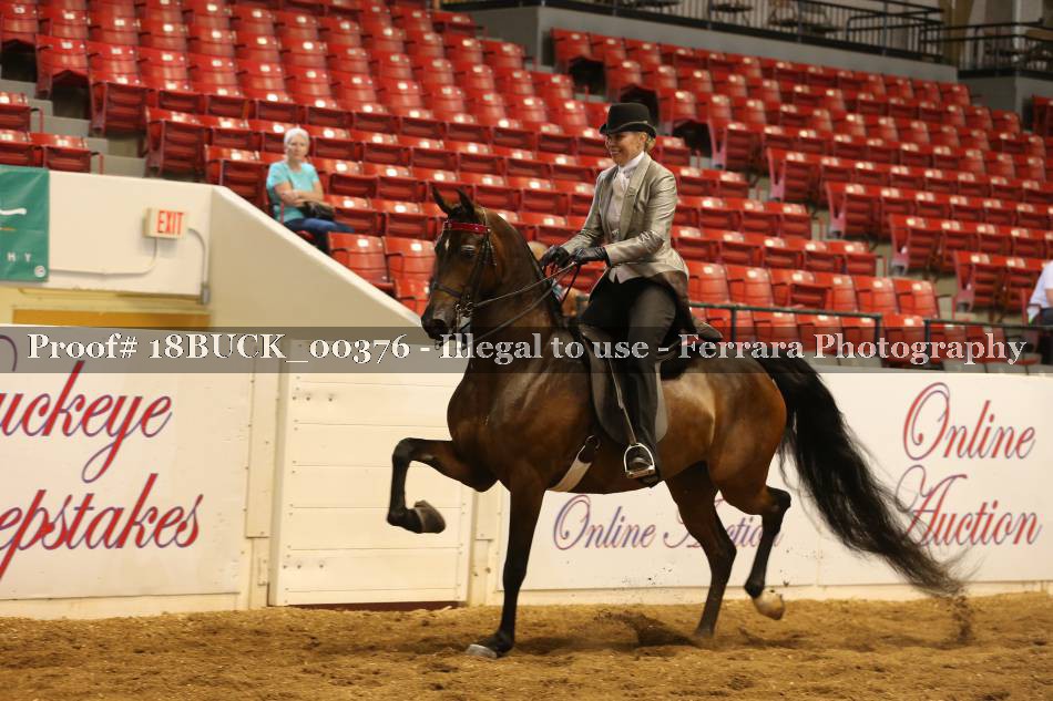 Proof 18BUCK_00376