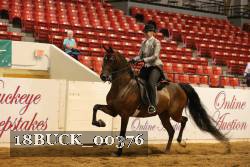 18BUCK_00376 proof