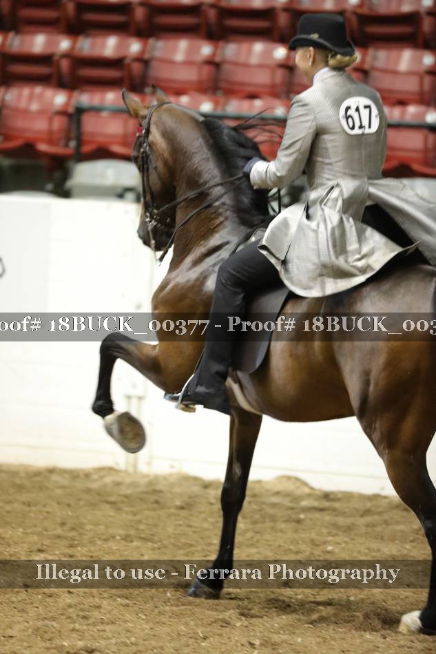 Proof 18BUCK_00377