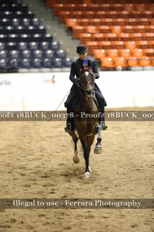 Proof 18BUCK_00378