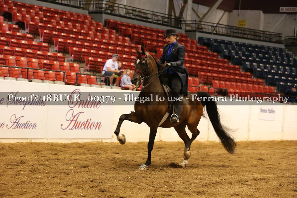 Proof 18BUCK_00379