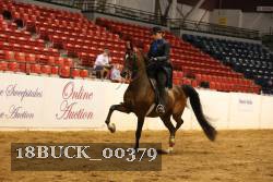 18BUCK_00379 proof