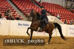 18BUCK_00380 proof
