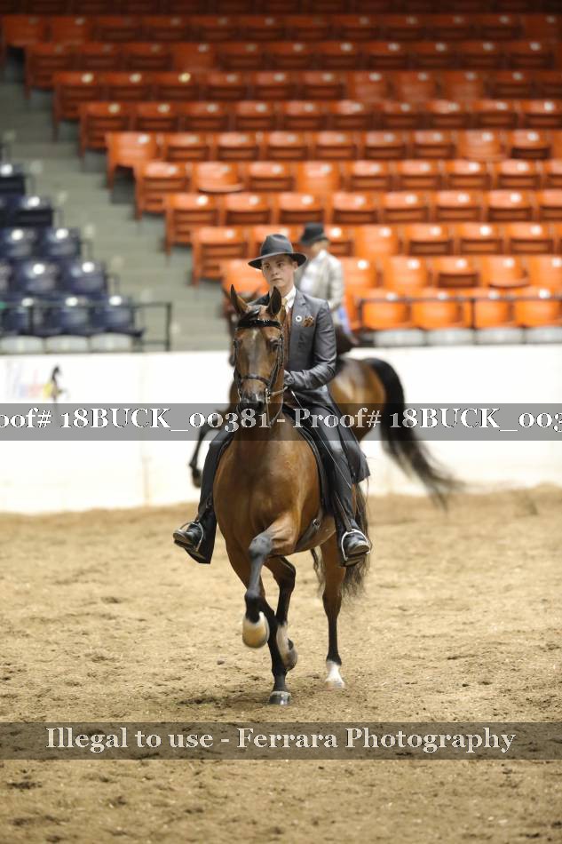Proof 18BUCK_00381