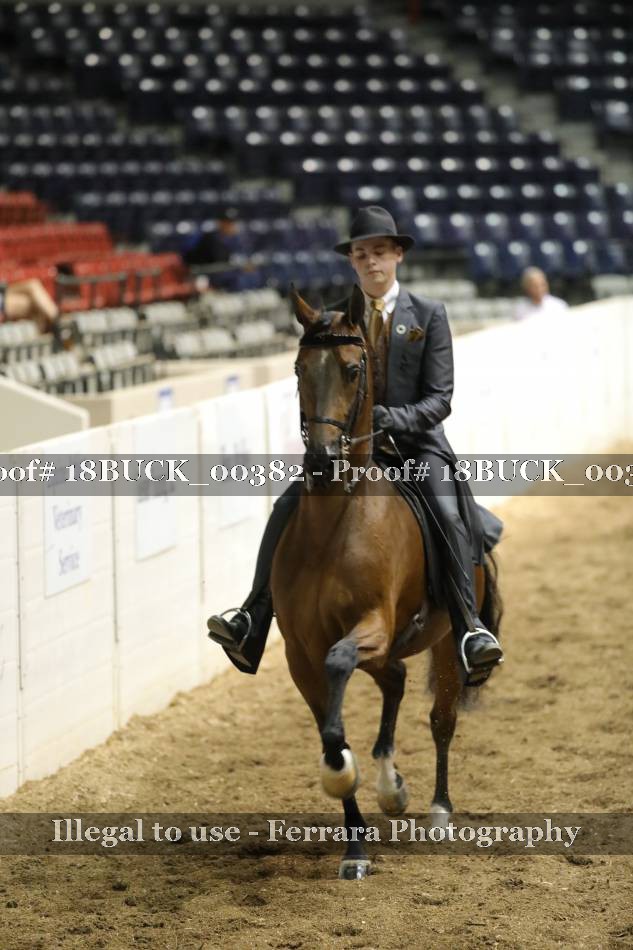 Proof 18BUCK_00382