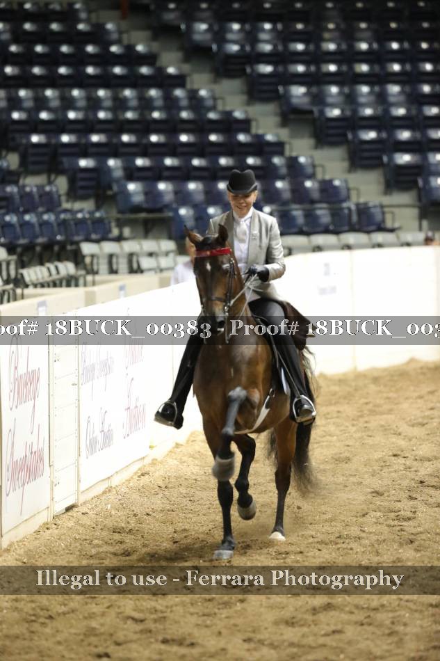 Proof 18BUCK_00383