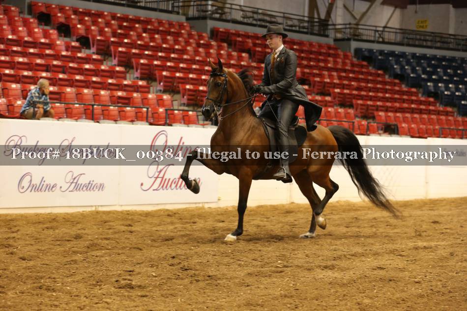 Proof 18BUCK_00384