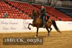 18BUCK_00384 proof