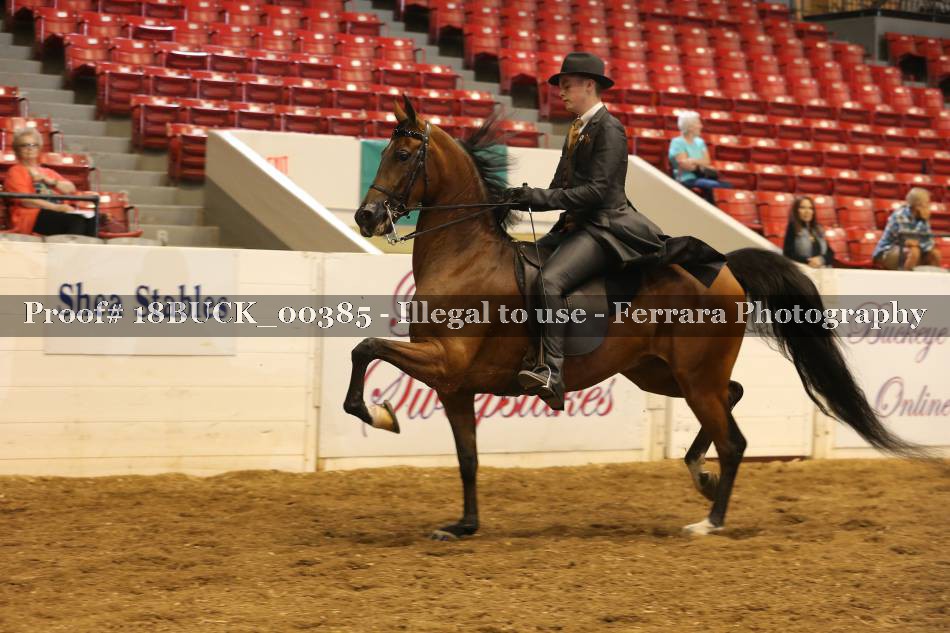 Proof 18BUCK_00385