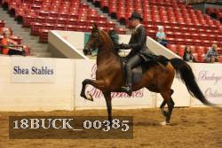 18BUCK_00385 proof