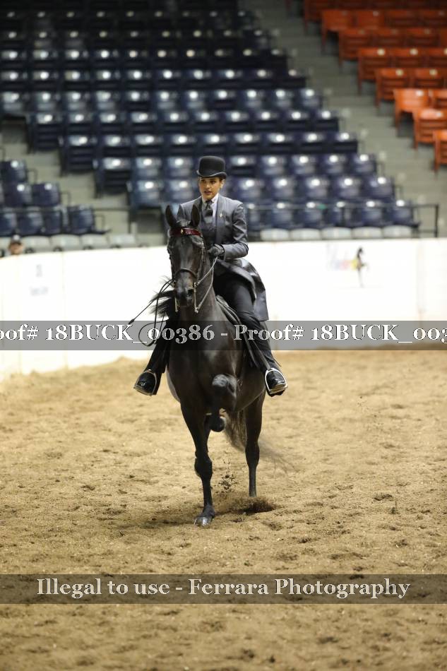 Proof 18BUCK_00386