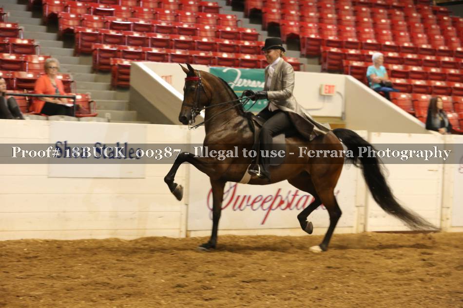 Proof 18BUCK_00387