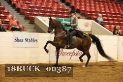 18BUCK_00387 proof