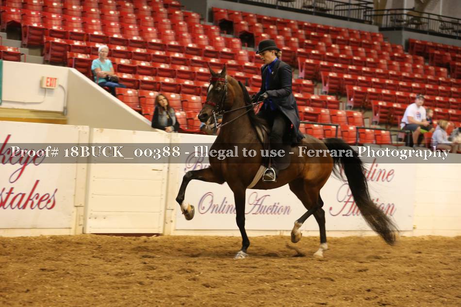 Proof 18BUCK_00388