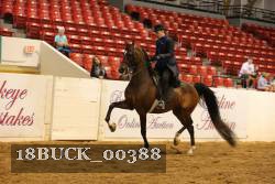 18BUCK_00388 proof