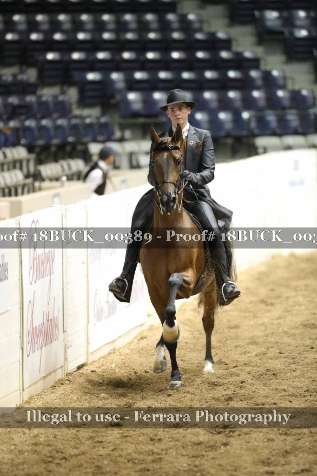 Proof 18BUCK_00389