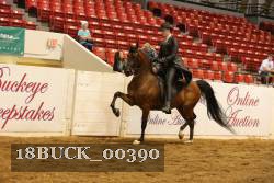 18BUCK_00390 proof