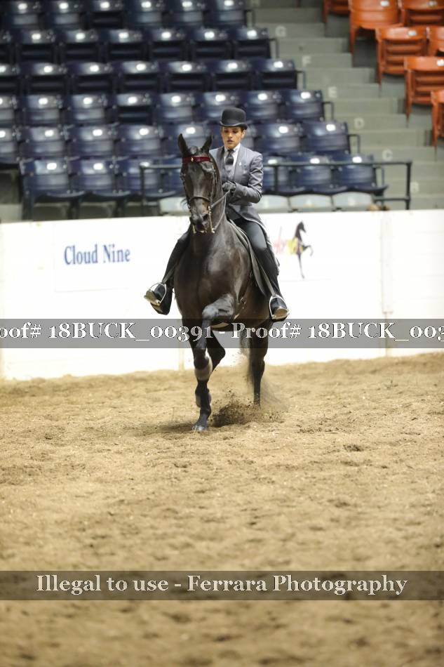 Proof 18BUCK_00391
