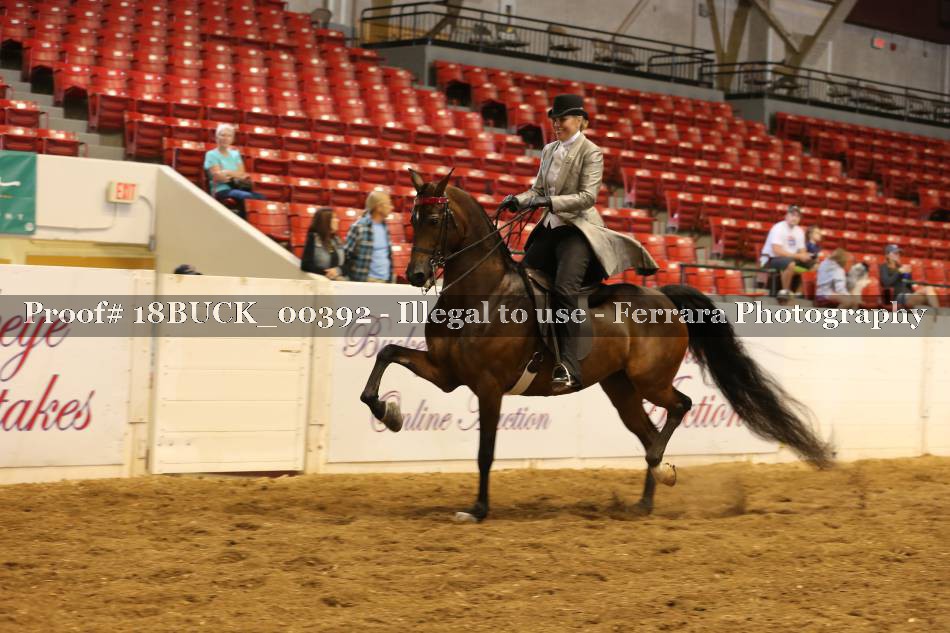 Proof 18BUCK_00392