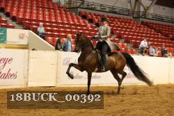 18BUCK_00392 proof