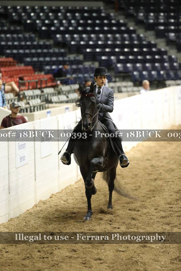 Proof 18BUCK_00393