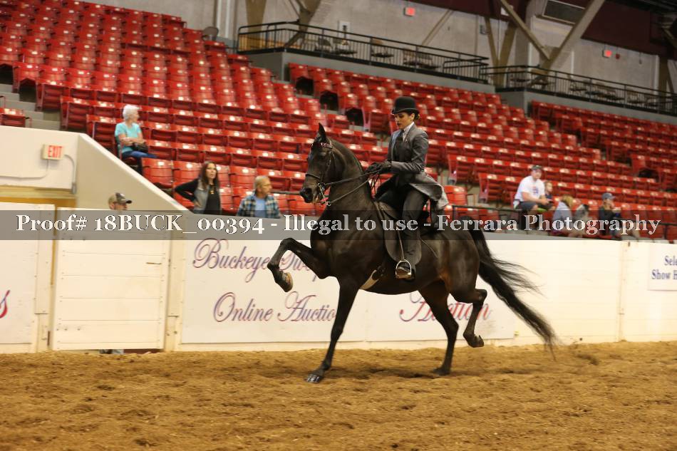 Proof 18BUCK_00394