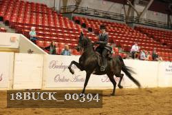 18BUCK_00394 proof