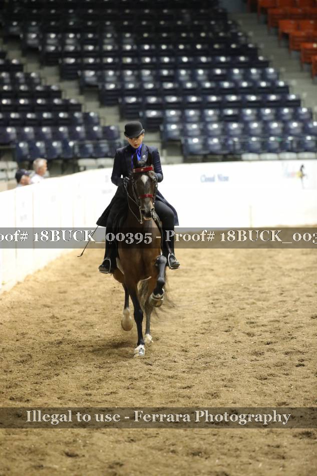 Proof 18BUCK_00395