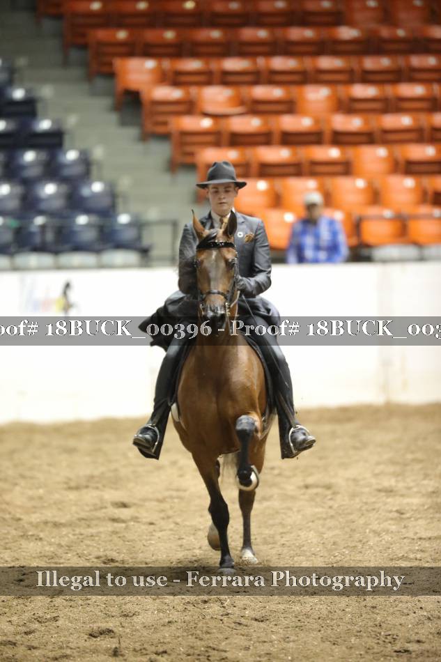 Proof 18BUCK_00396