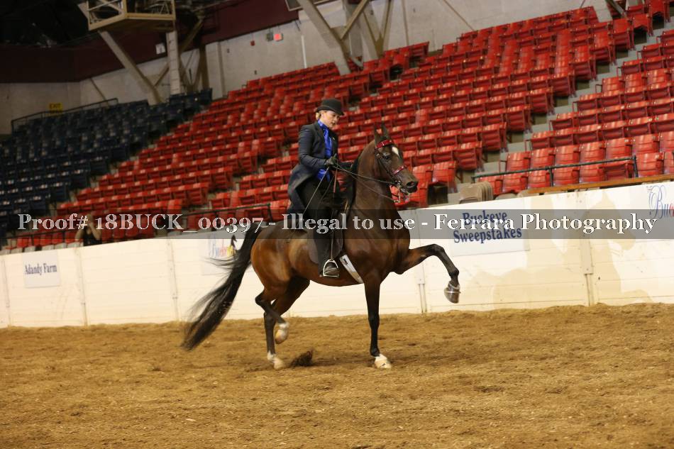 Proof 18BUCK_00397