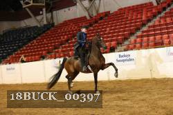 18BUCK_00397 proof