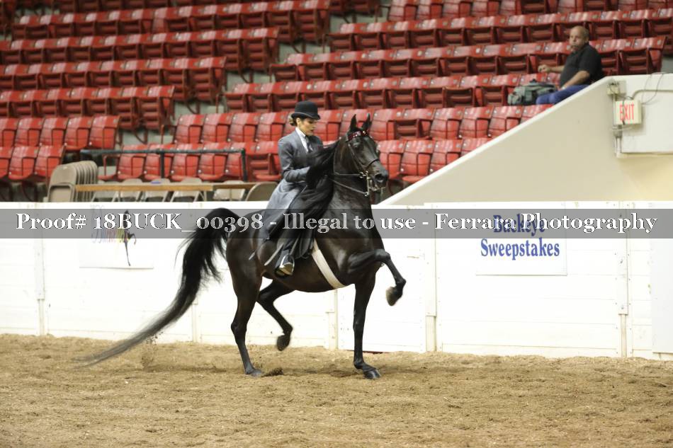 Proof 18BUCK_00398