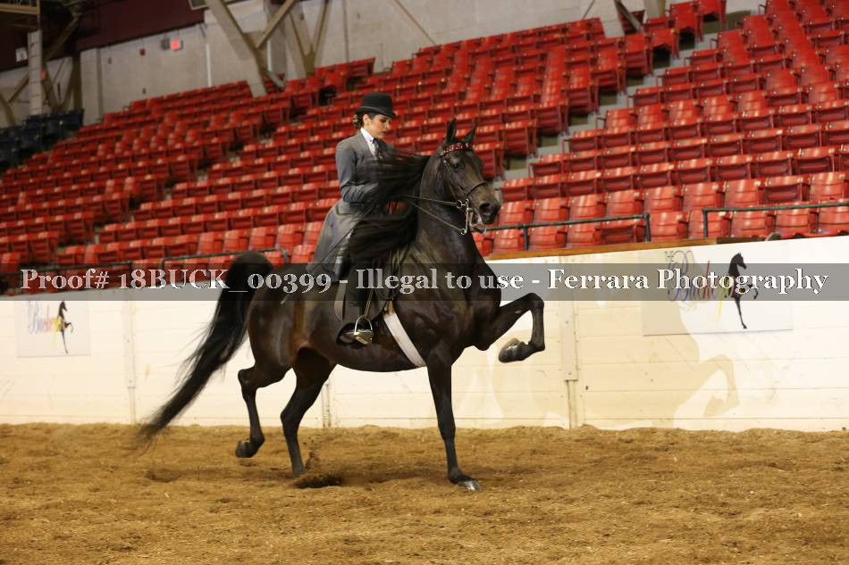 Proof 18BUCK_00399