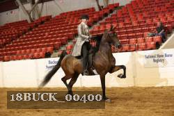 18BUCK_00400 proof