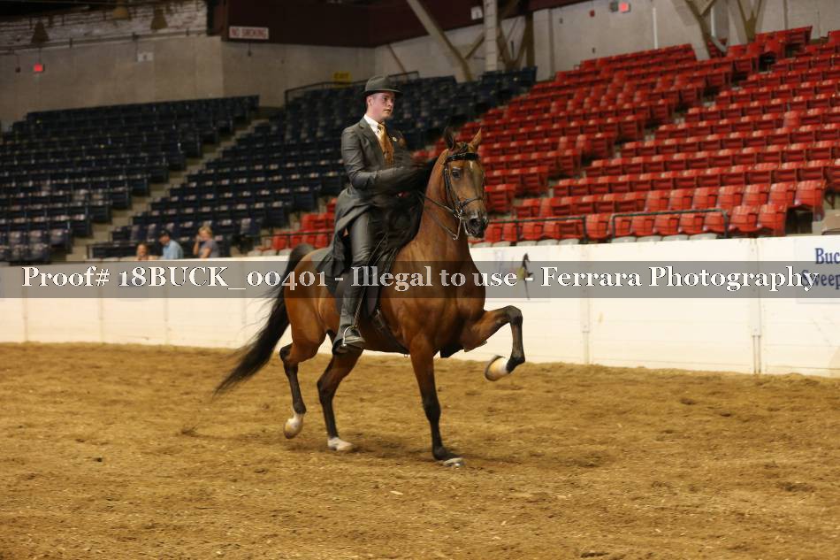 Proof 18BUCK_00401