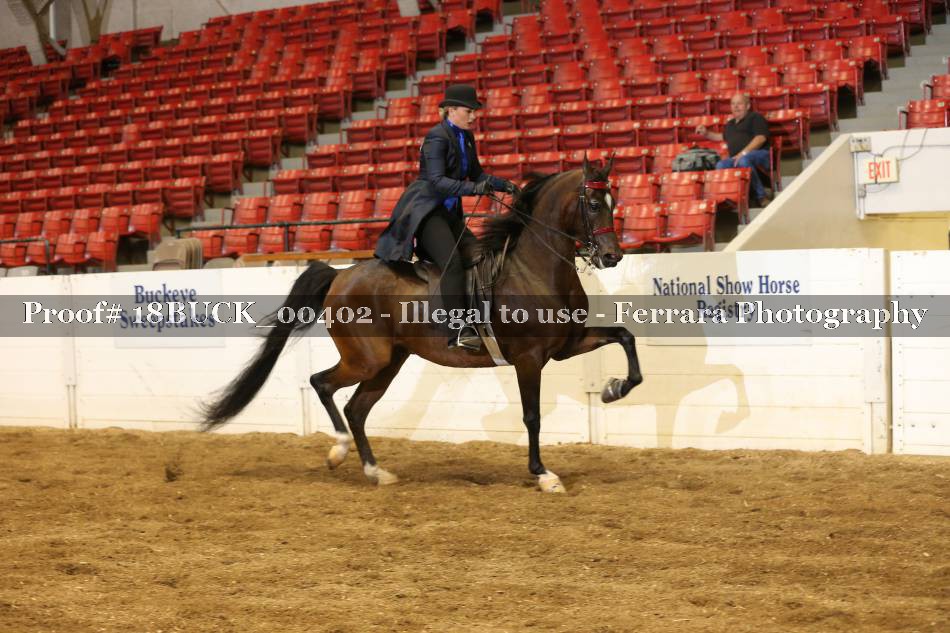 Proof 18BUCK_00402
